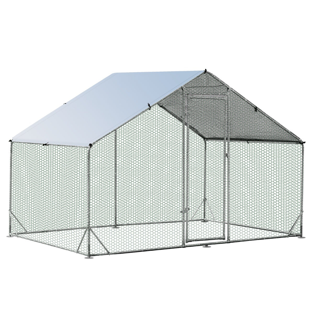 pw100152jpg Urban Pet Play Ltd | AwardWinning Pet Care Pet Shop