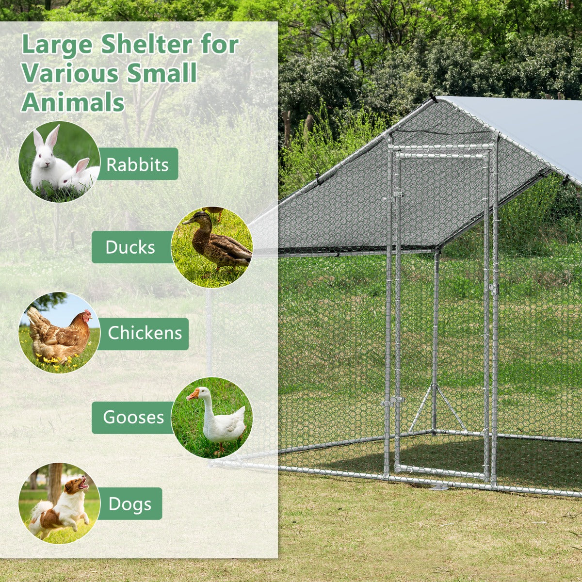 pw100155jpg Urban Pet Play Ltd | AwardWinning Pet Care Pet Shop