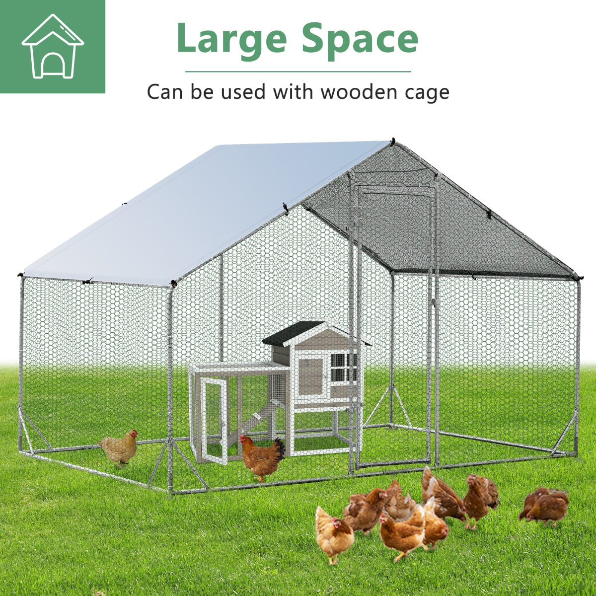 pw100157jpg Urban Pet Play Ltd | AwardWinning Pet Care Pet Shop