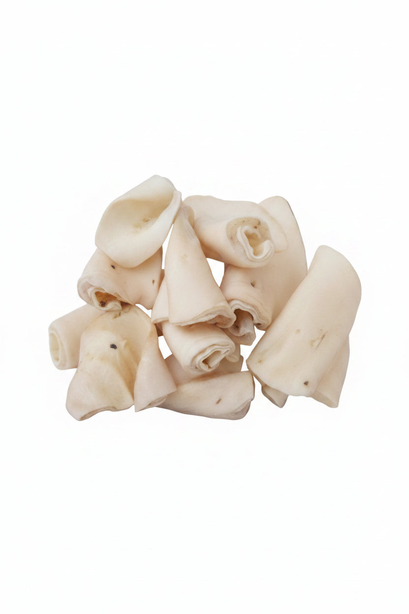 rnimagepickerlibtemp53fe147d3d9041c4b8367ae34ee772a2jpg Urban Pet Play Ltd | AwardWinning Pet Care Pet Shop
