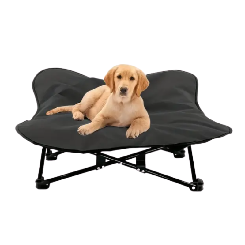 sampleproduct1732ef747ab5564b37bf0f9d4e73996d001png Urban Pet Play Ltd | AwardWinning Pet Care Pet Shop