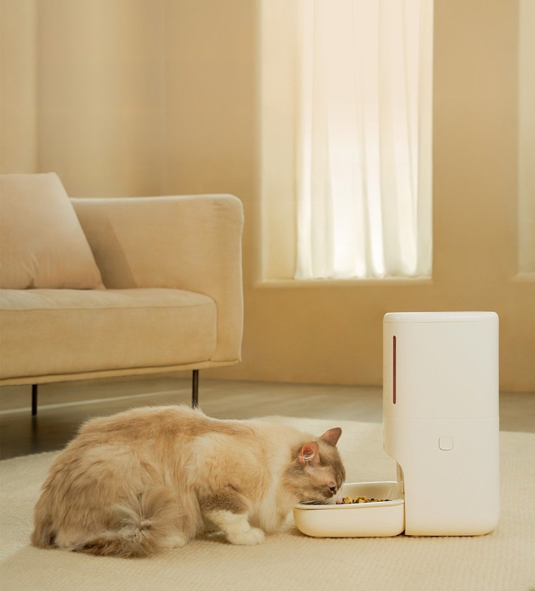 smartprivacycameraautomaticpetfeeder4jpg Urban Pet Play Ltd | AwardWinning Pet Care Pet Shop