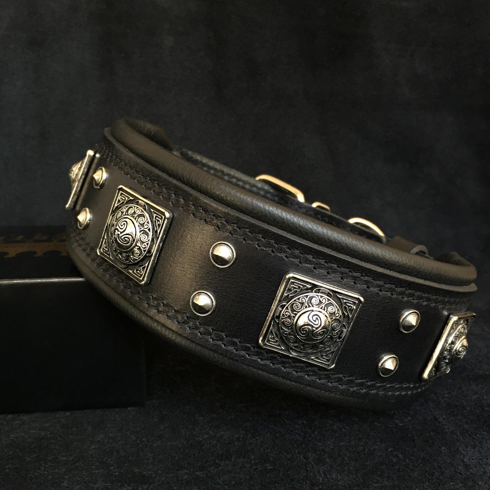 theallblackeroscollar25inchwide367011jpg Urban Pet Play Ltd | AwardWinning Pet Care Pet Shop