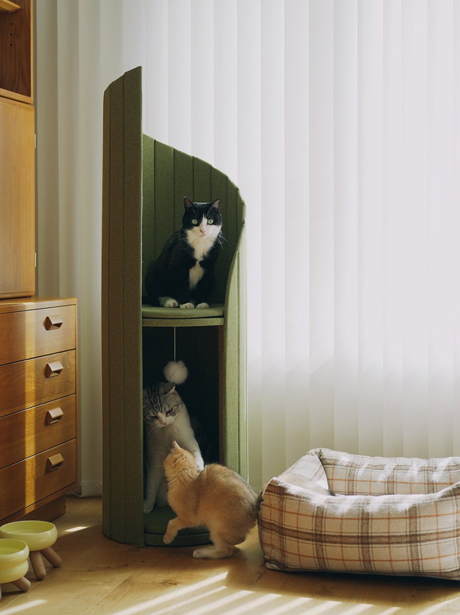 timetowermoderncattreecondoolive1jpg Urban Pet Play Ltd | AwardWinning Pet Care Pet Shop