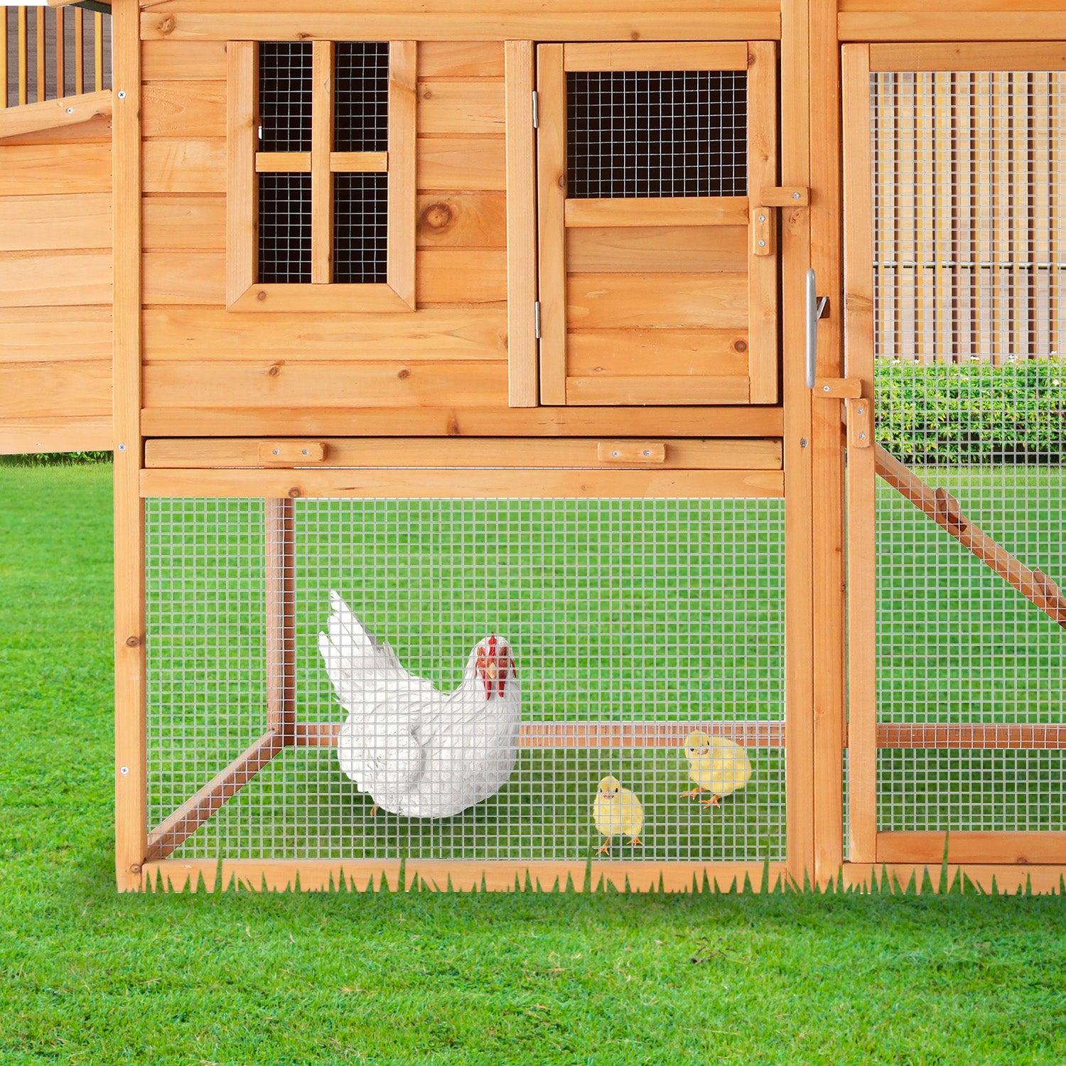 wccjoy003lhr5jpg Urban Pet Play Ltd | AwardWinning Pet Care Pet Shop