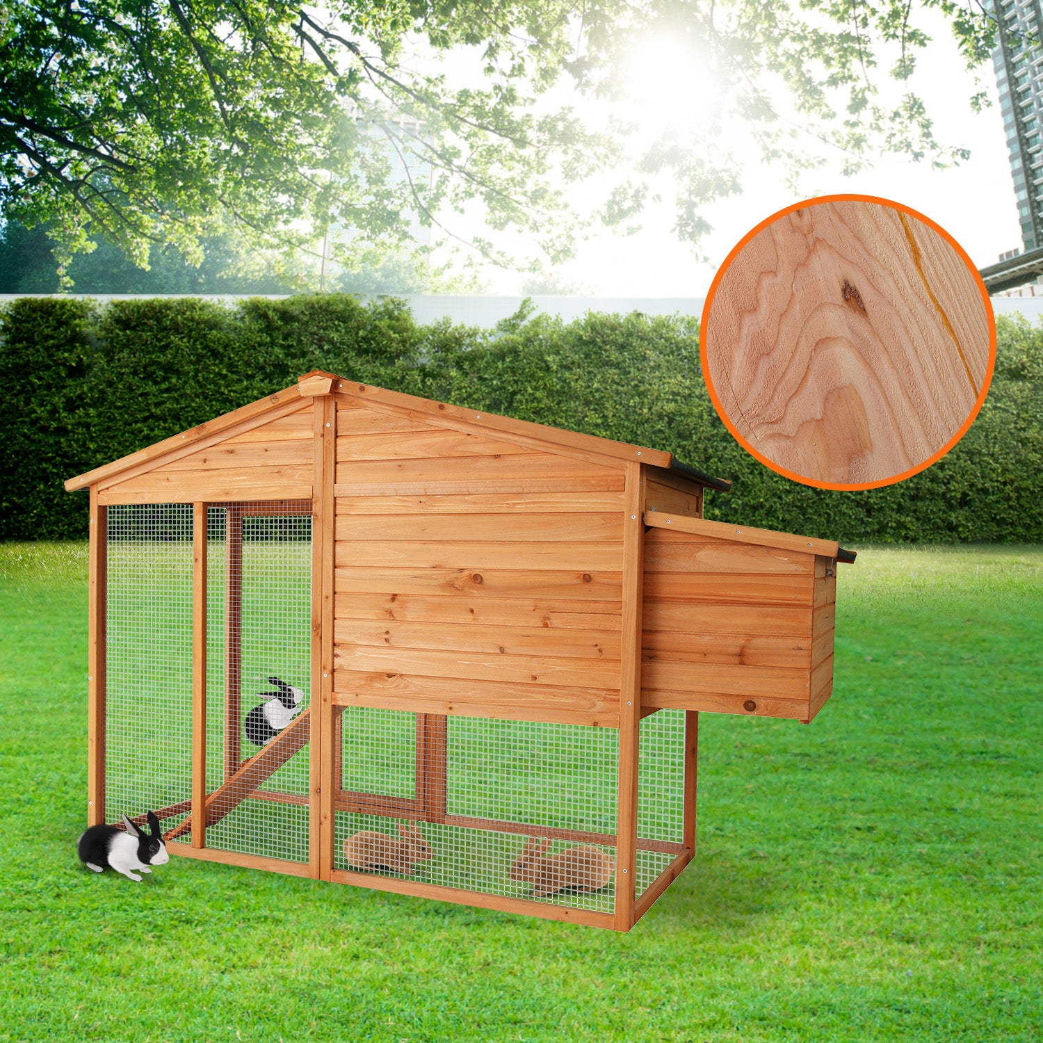 wccjoy003lhr6jpg Urban Pet Play Ltd | AwardWinning Pet Care Pet Shop