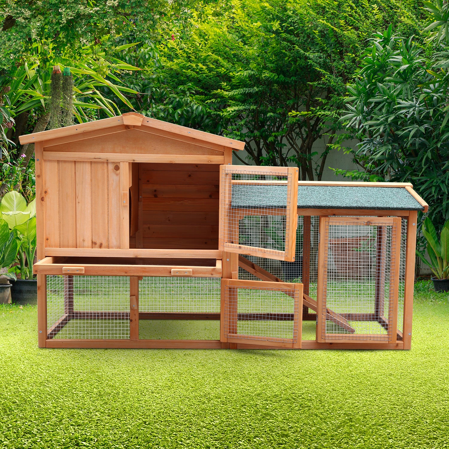 wccjoy005lhr5jpg Urban Pet Play Ltd | AwardWinning Pet Care Pet Shop