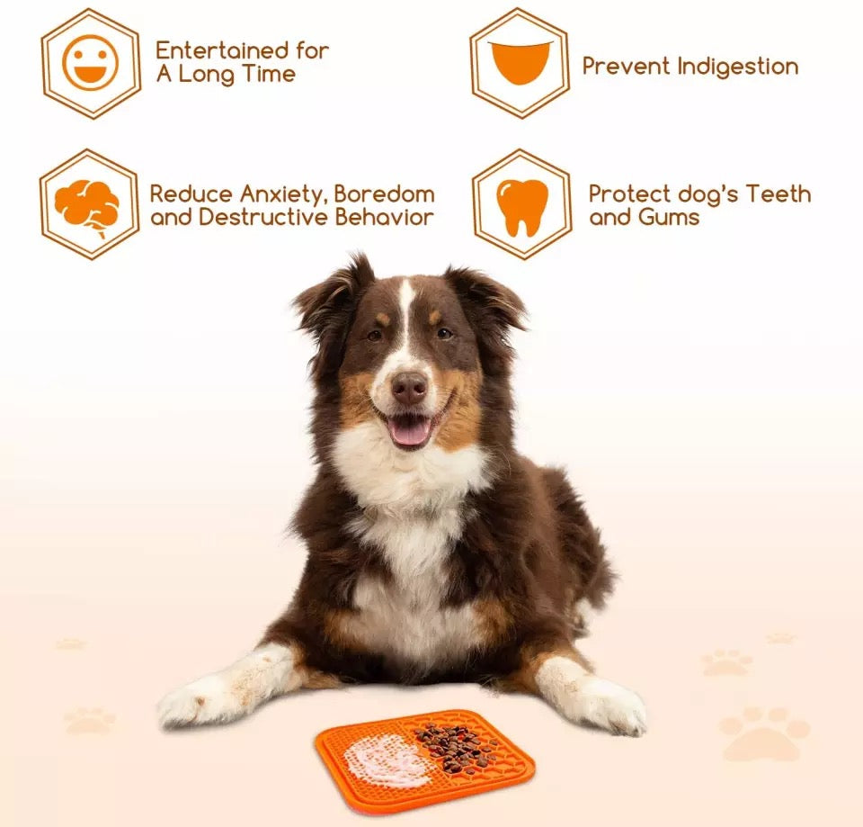 27271624847035pichdjpg Urban Pet Play Ltd | AwardWinning Pet Care Pet Shop