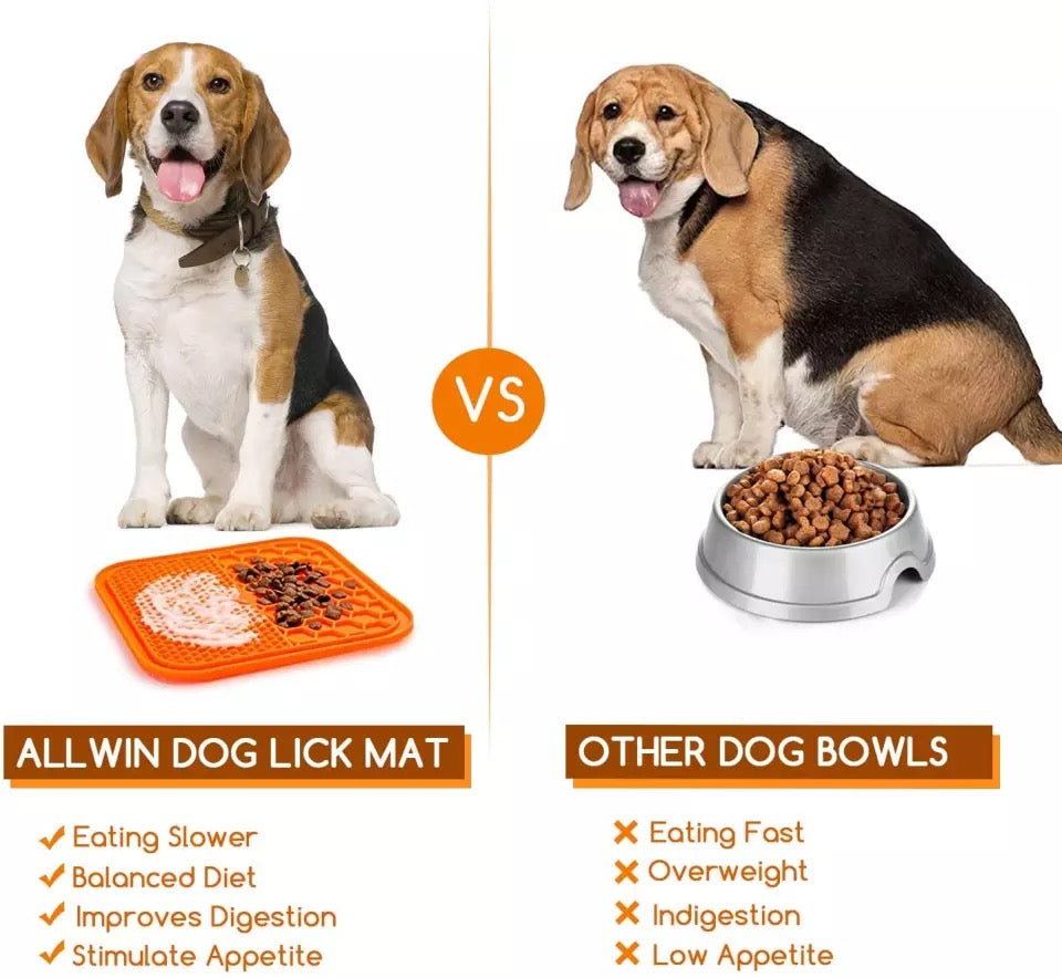 27281624847036pichdjpg Urban Pet Play Ltd | AwardWinning Pet Care Pet Shop