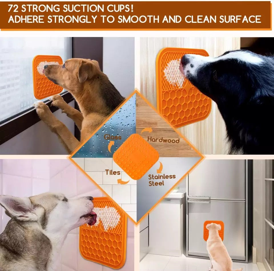 27291624847109pichdjpg Urban Pet Play Ltd | AwardWinning Pet Care Pet Shop