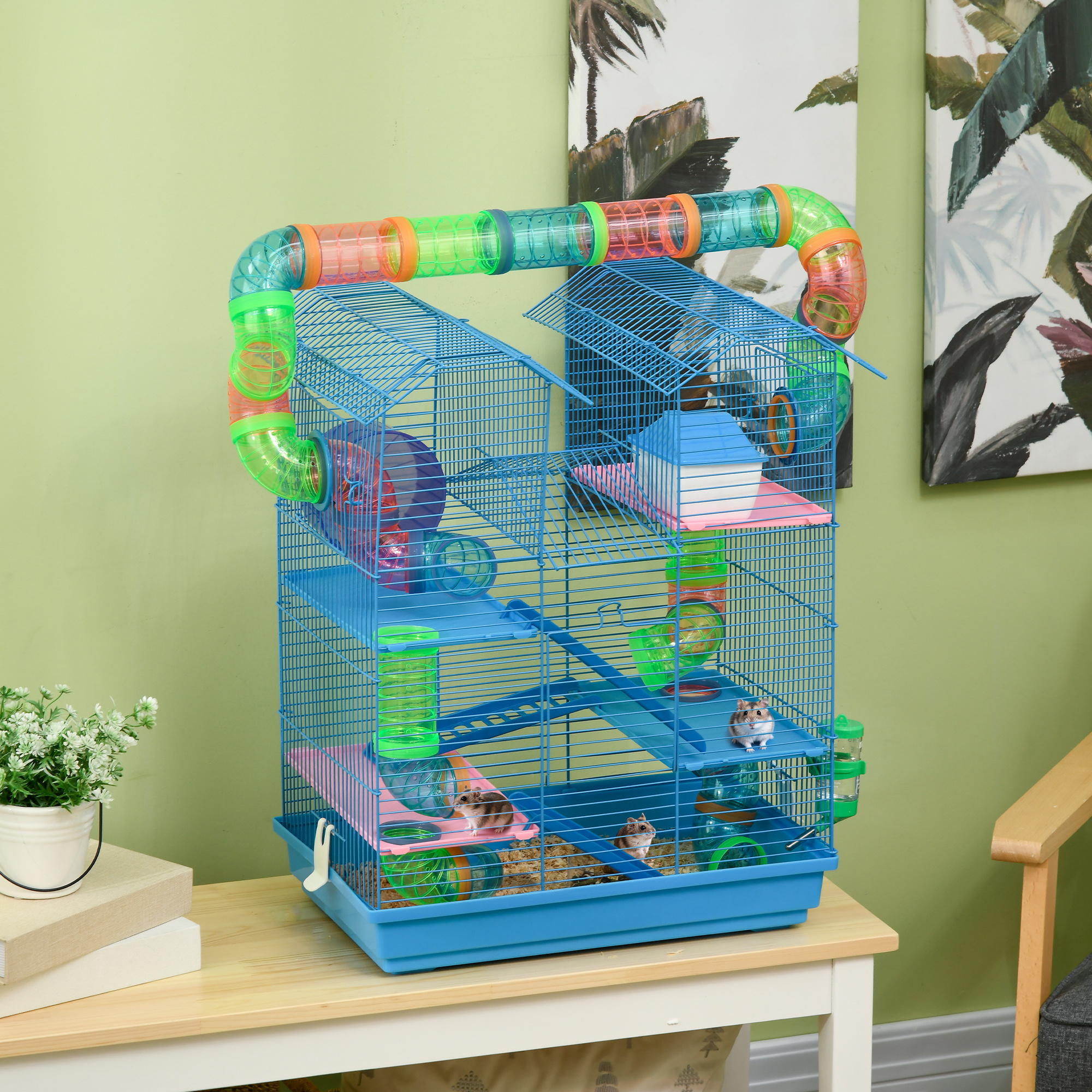 49a0fe4fe82d464284665c8ad4e6efca1jpg Urban Pet Play Ltd | AwardWinning Pet Care Pet Shop
