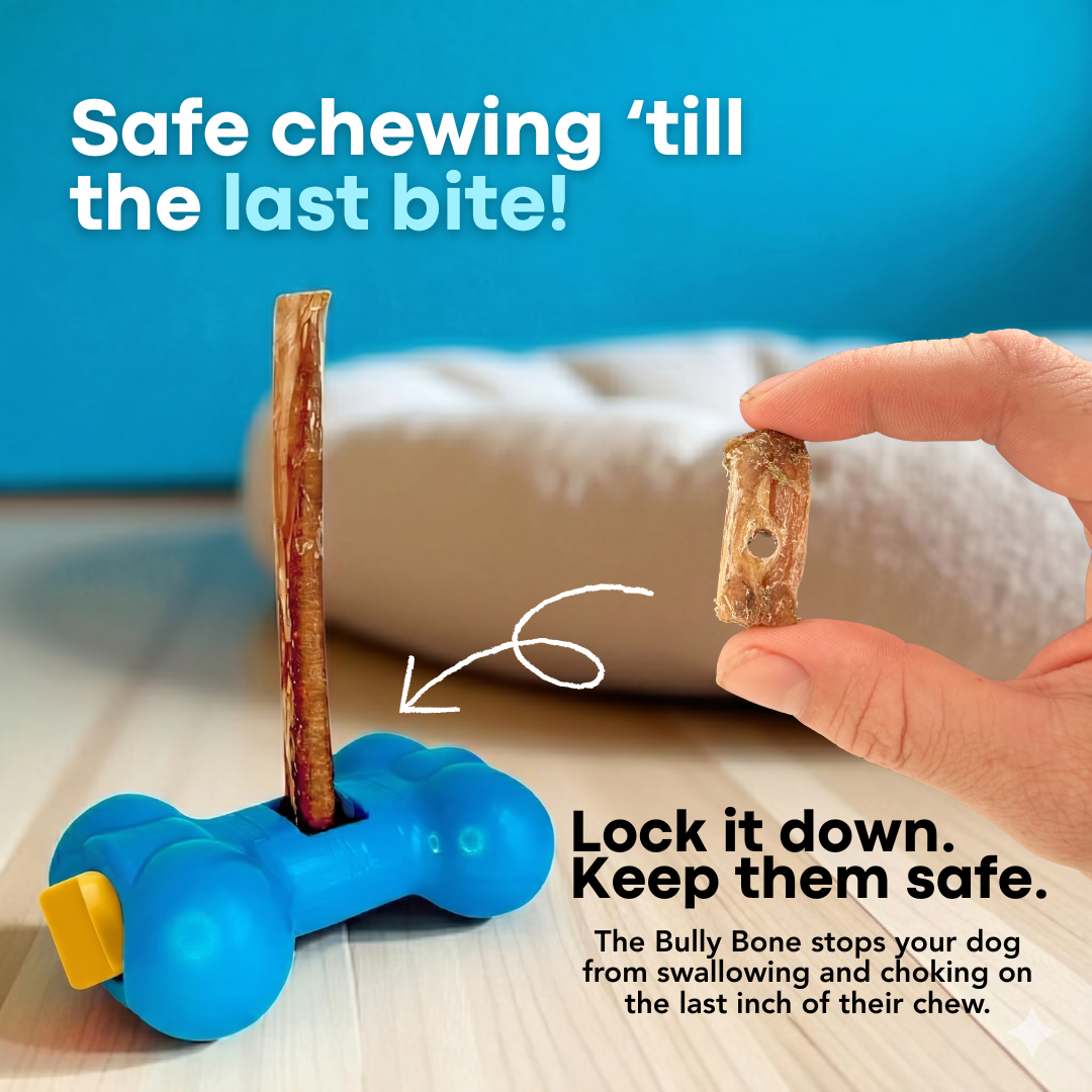 4be511a2a87864271bec72e5d31e965f1png Urban Pet Play Ltd | AwardWinning Pet Care Pet Shop