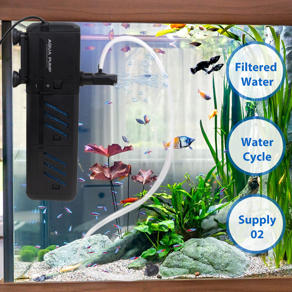 7c3c58216e9842a98be3ac77f82dca981jpg Urban Pet Play Ltd | AwardWinning Pet Care Pet Shop