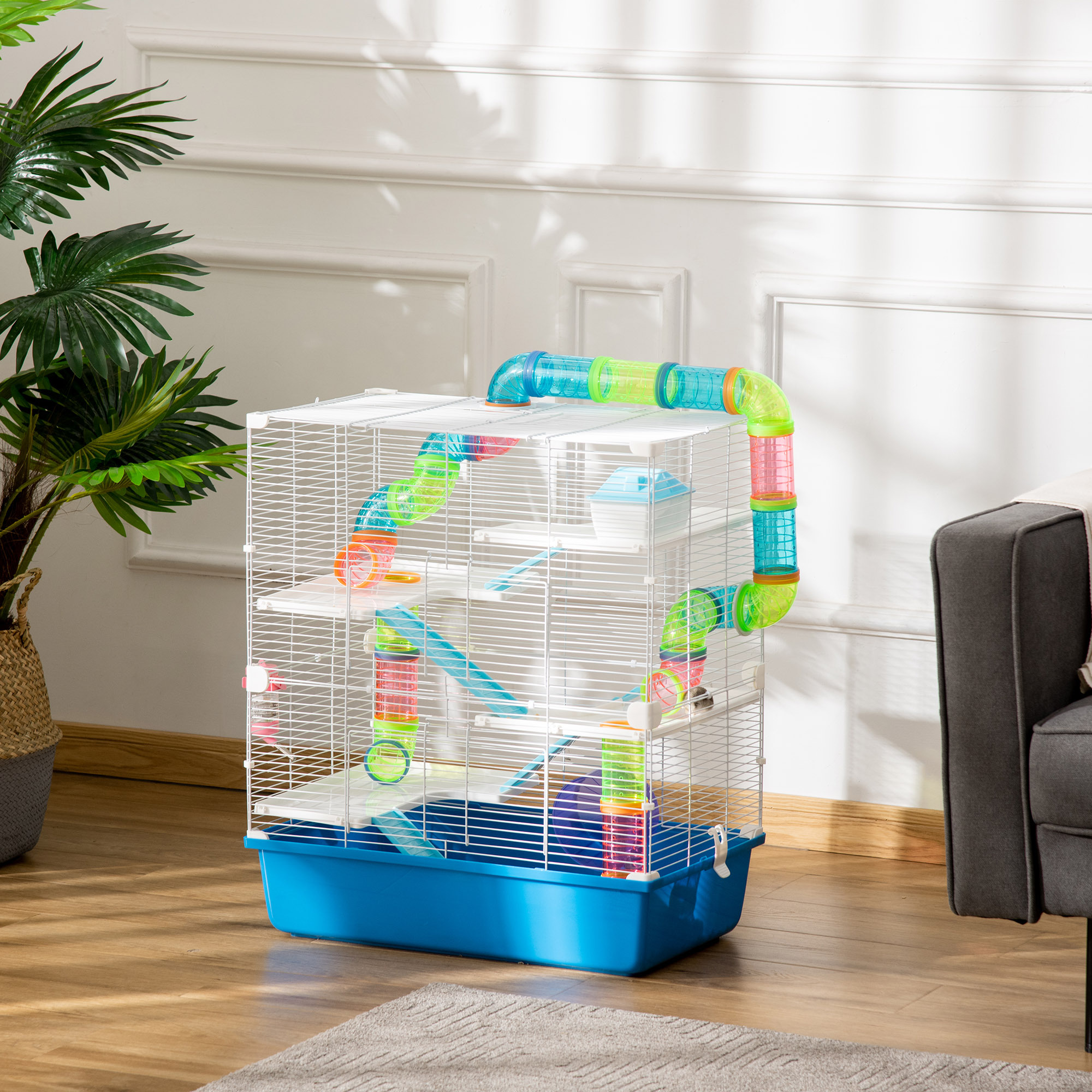 9f3dcb0811ec42be95d94f8b9021e6ef1jpg Urban Pet Play Ltd | AwardWinning Pet Care Pet Shop
