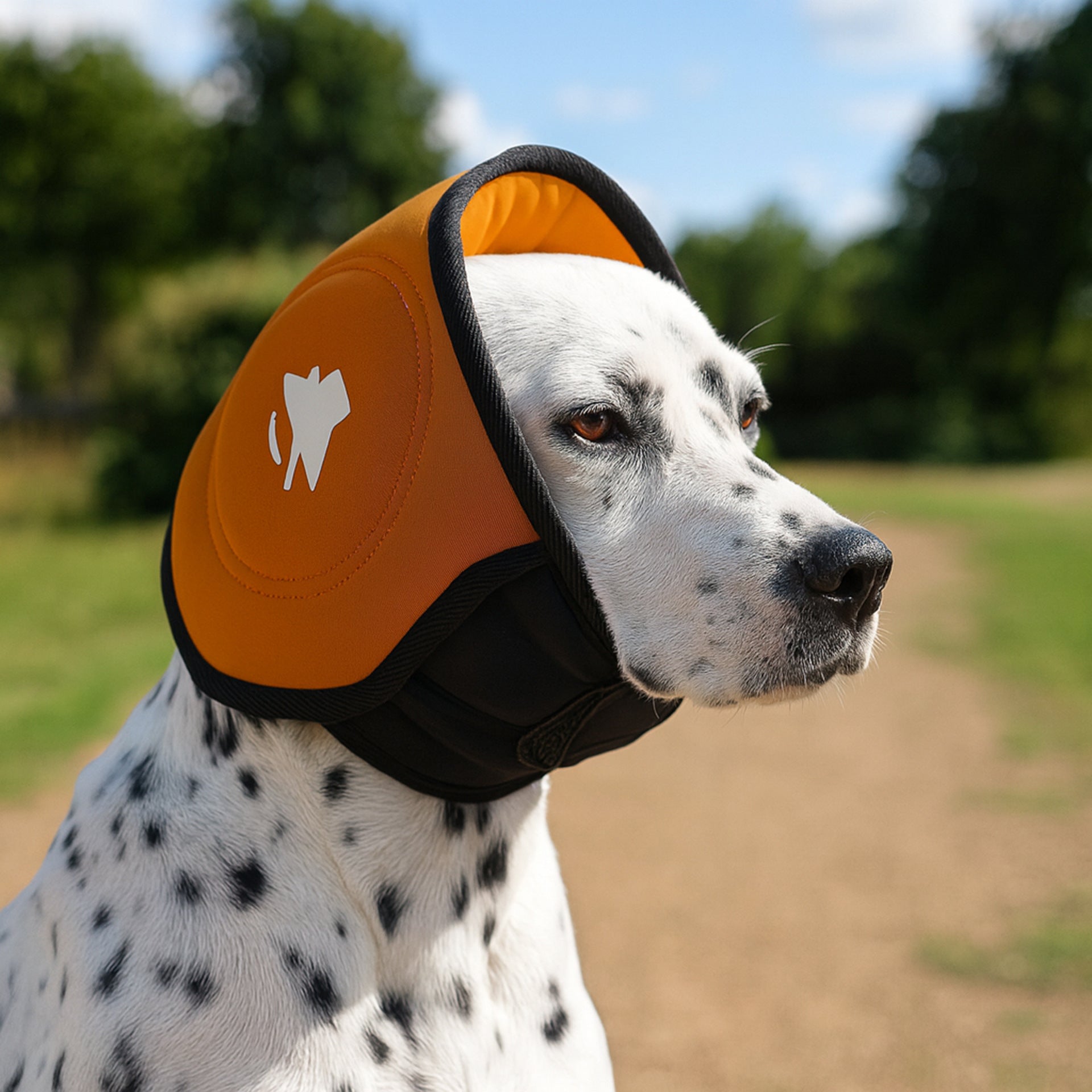 DogCalmingHoodcashymart454168196221661jpg Urban Pet Play Ltd | AwardWinning Pet Care Pet Shop