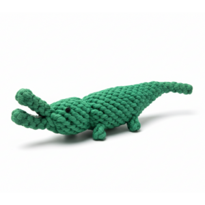 Ally-The Green Alligator