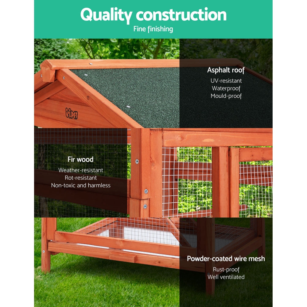 PETGTBIRDWBC0203jpg Urban Pet Play Ltd | AwardWinning Pet Care Pet Shop