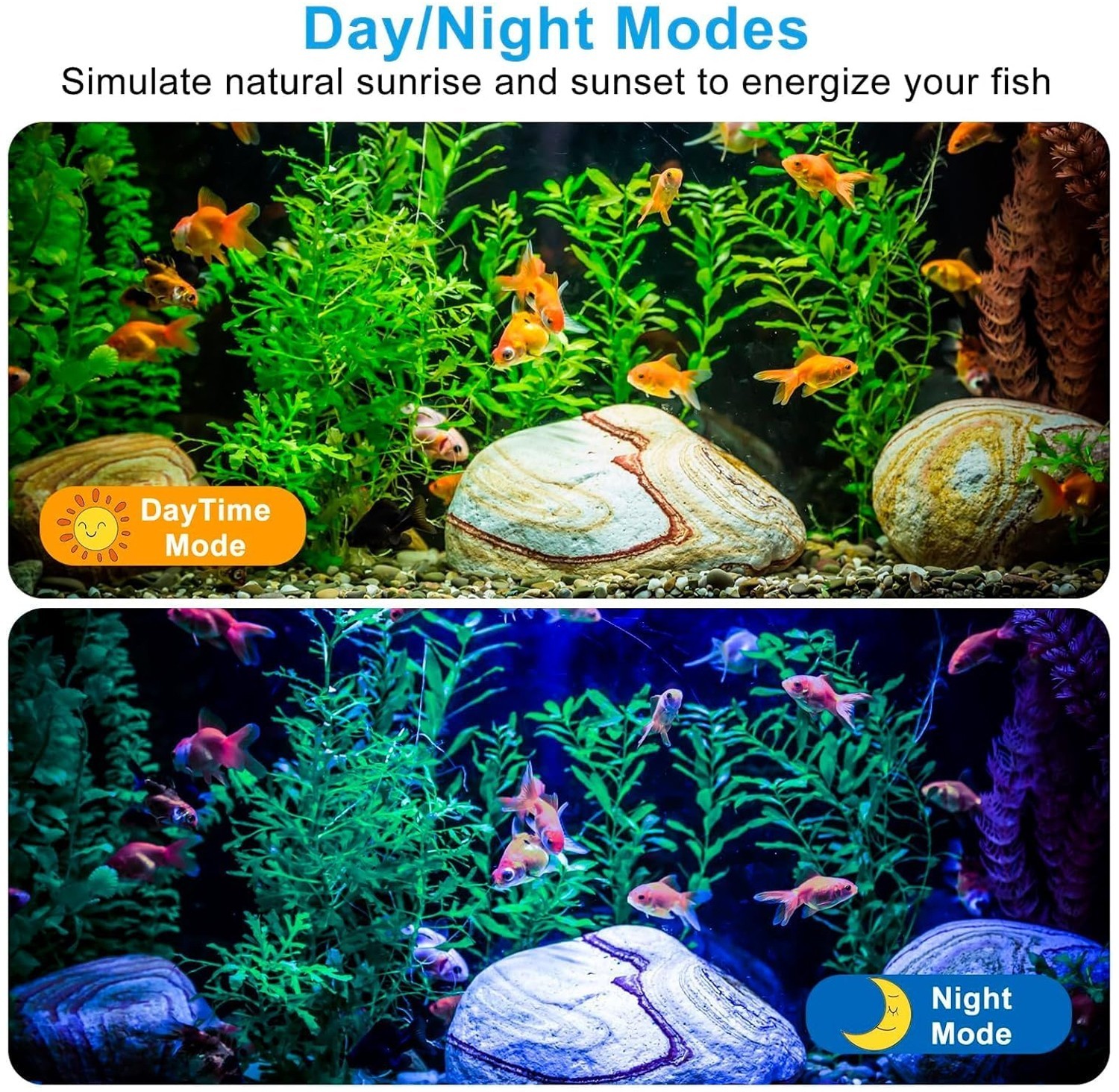 aab4de1587de4cd0bdddf204fa659f023jpg Urban Pet Play Ltd | AwardWinning Pet Care Pet Shop