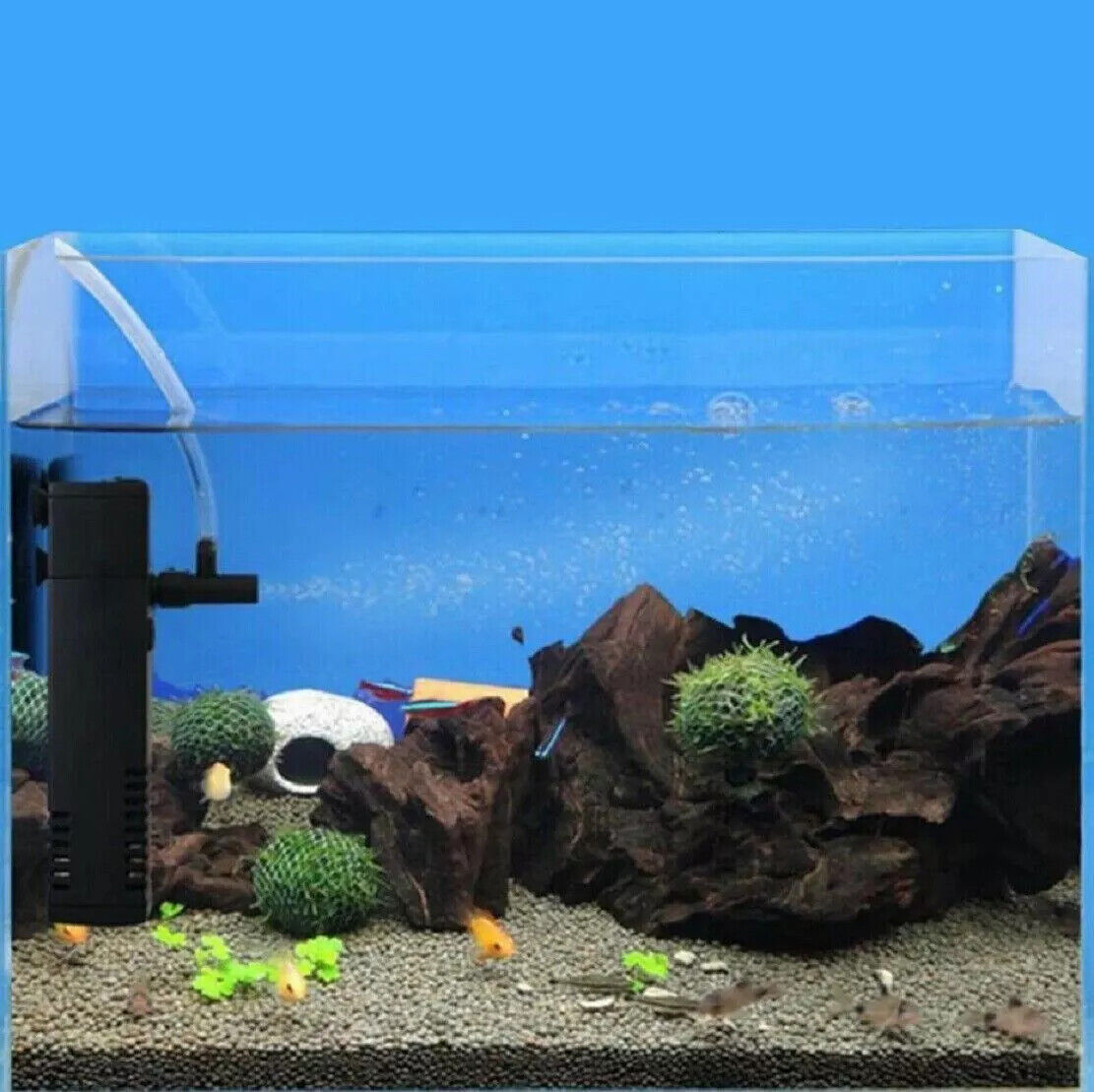 caf62e3639464afdaf1f1fc30a2c0ba3jpg Urban Pet Play Ltd | AwardWinning Pet Care Pet Shop