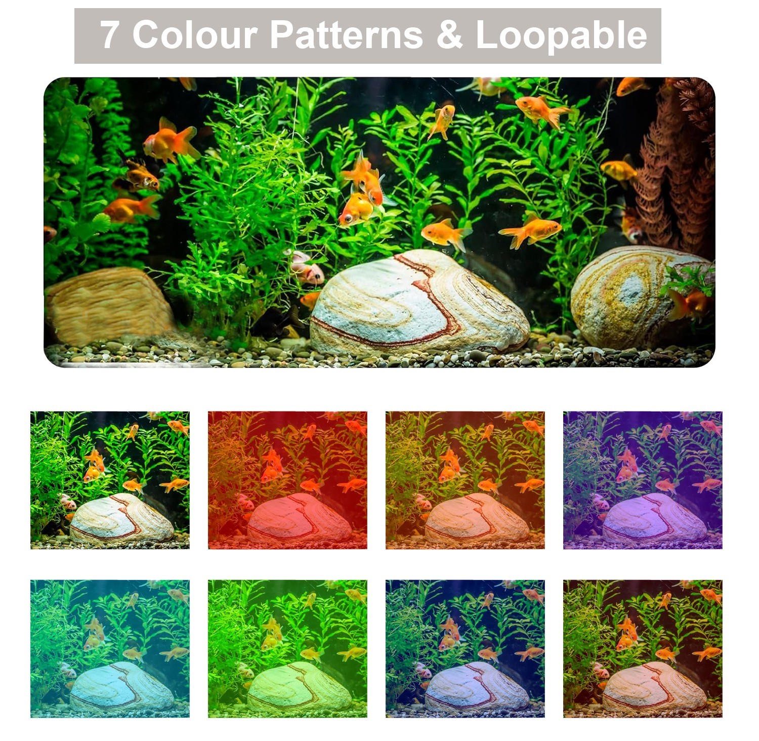 cecb09c508994ec786434991722482993jpg Urban Pet Play Ltd | AwardWinning Pet Care Pet Shop