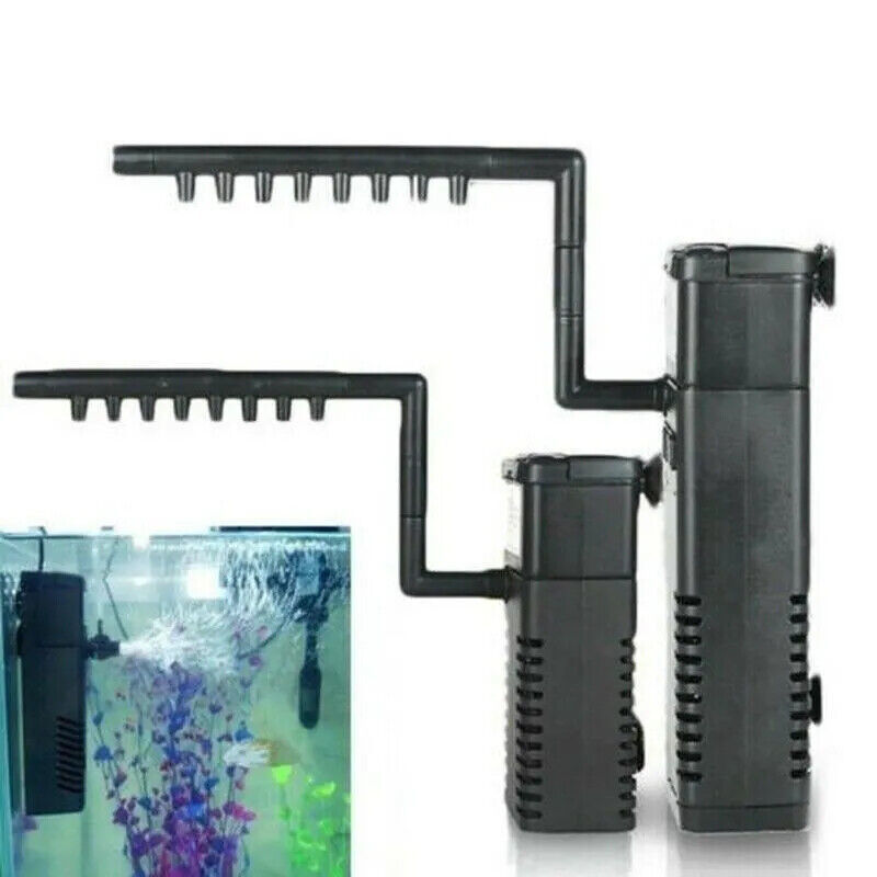 ea48b439090948a2a0cf5a43c55c0d83jpg Urban Pet Play Ltd | AwardWinning Pet Care Pet Shop