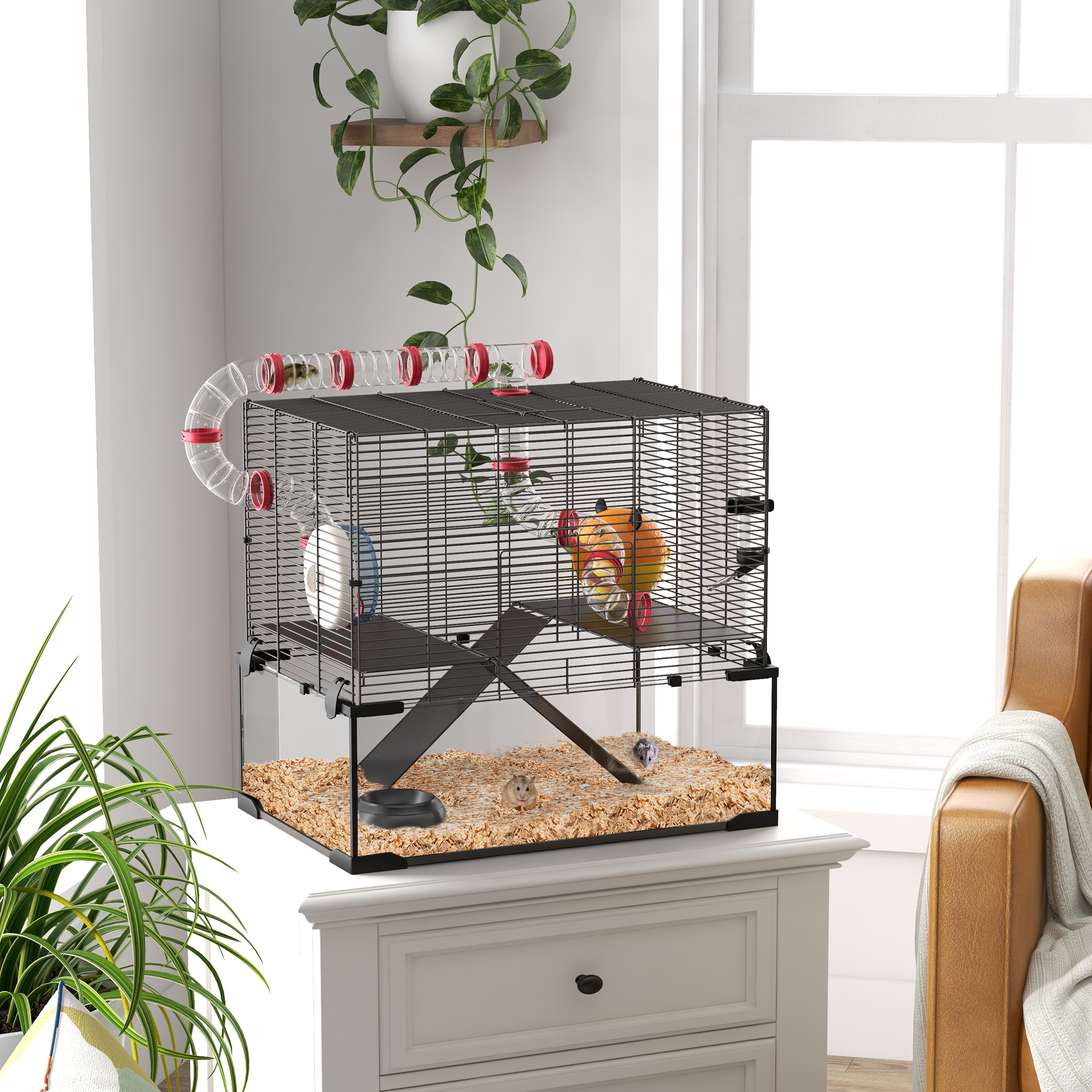 ffa318f927ac4c82af995d1de2b35baajpg Urban Pet Play Ltd | AwardWinning Pet Care Pet Shop
