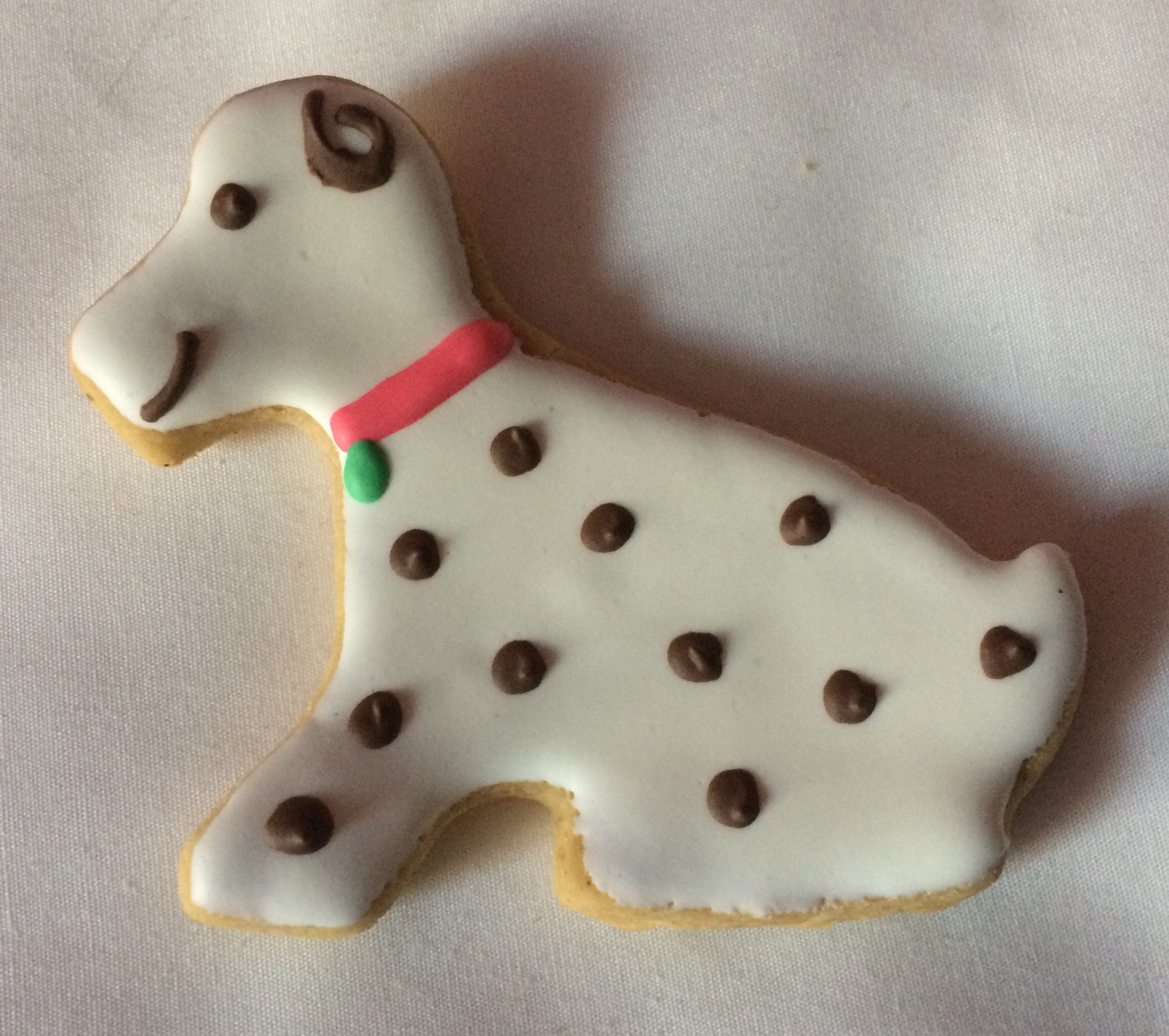 filejpg Urban Pet Play Ltd | AwardWinning Pet Care Pet Shop